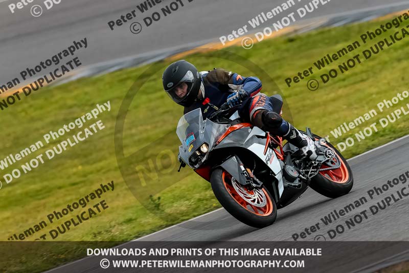 PJ Motorsport 2019;anglesey no limits trackday;anglesey photographs;anglesey trackday photographs;enduro digital images;event digital images;eventdigitalimages;no limits trackdays;peter wileman photography;racing digital images;trac mon;trackday digital images;trackday photos;ty croes